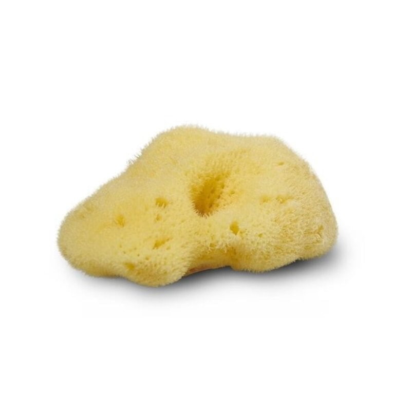 Cocoon | Silk Sea Sponge