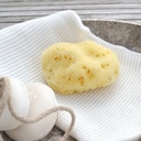 Cocoon Organic | Silk Sea Sponge